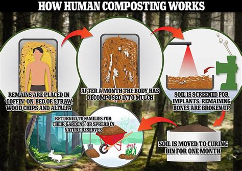 composting human waste