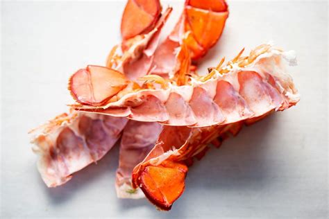 composting lobster shells