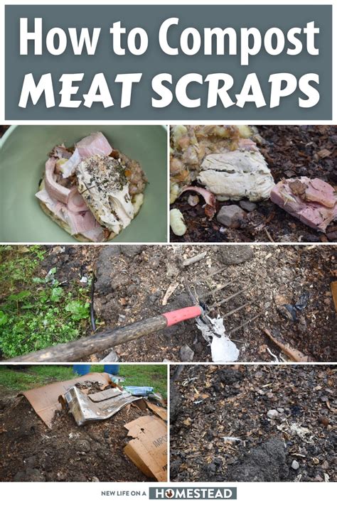 composting meat scraps