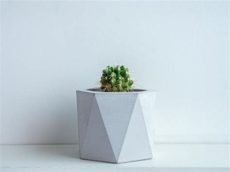 concrete cactus pot