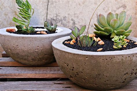 concrete flower pots