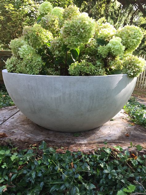 concrete pots for plants