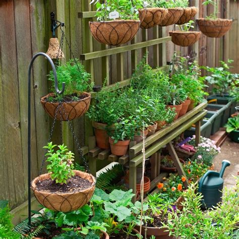 container gardening for beginners