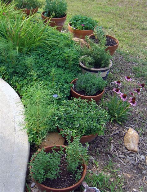 container herb garden layout