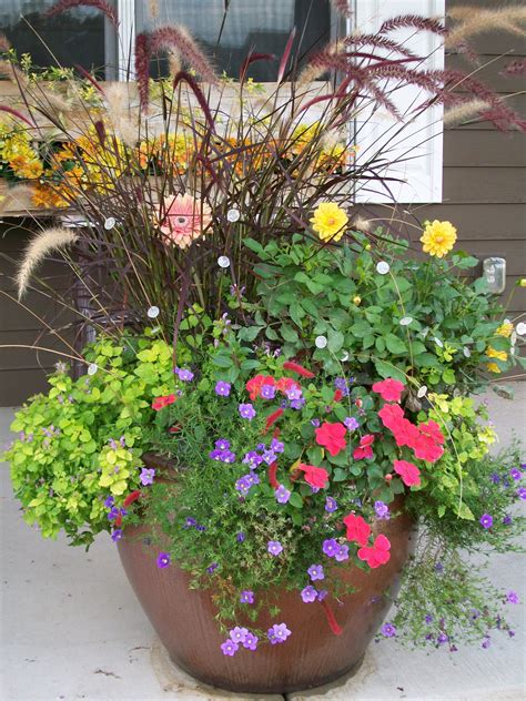 container plants for partial sun