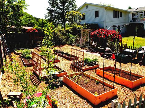 container vegetable garden layout