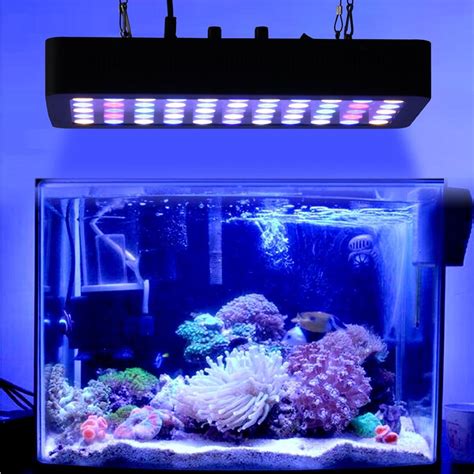 Coral reef lighting