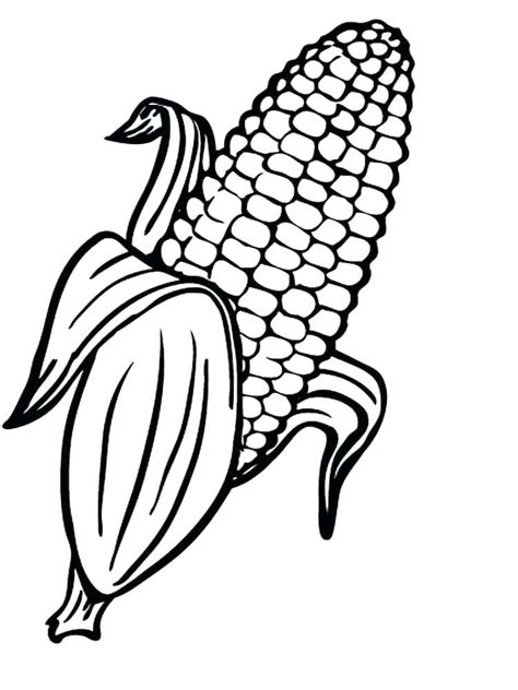 corn coloring page