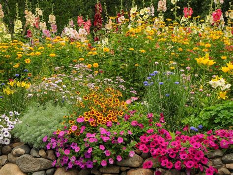 cottage garden flowers