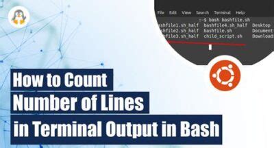 count number of lines in terminal output