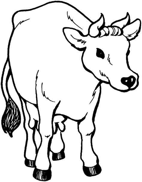cow coloring page printable