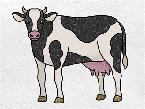 cow drawing colour easy