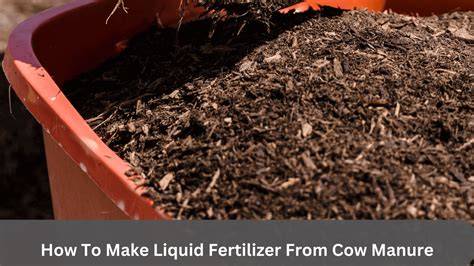 cow manure fertilizer