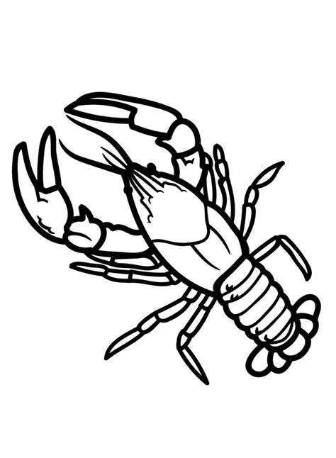 crawfish coloring pages