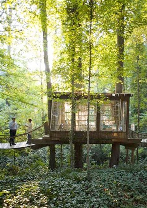 creating a treehouse for grownups