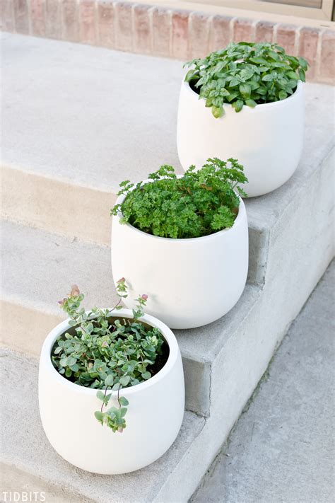 Creative container herb garden combinations