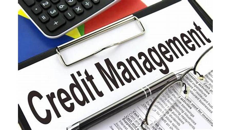 credit management image