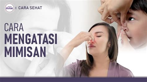 cubit hidung