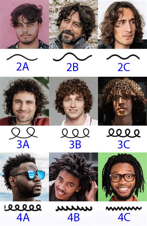 Curl Chart Men S
