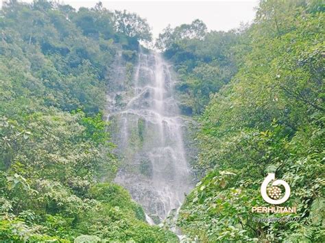 curug cikahuripan