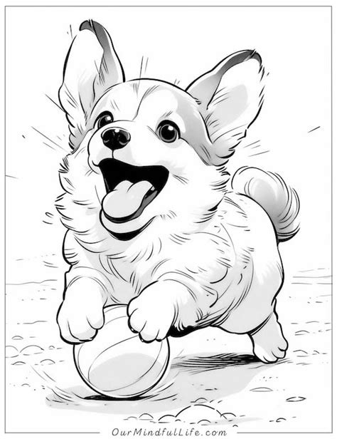 cute corgi coloring pages