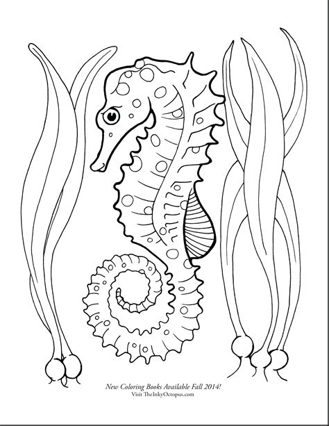 cute seahorse coloring pages