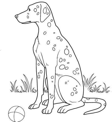 dalmatian dog coloring page