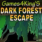 Dark Forest Escape Walkthrough
