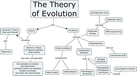 Darwin S Theory Of Evolution Chart