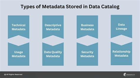 Data Catalog And Metadata Management