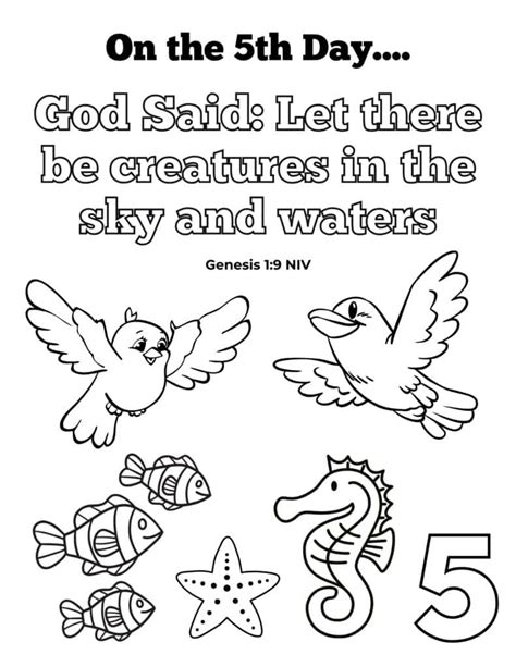 day 5 creation coloring pages