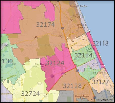 daytona beach fl area code