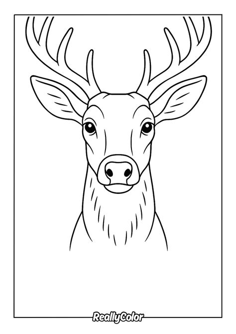 deer head coloring page