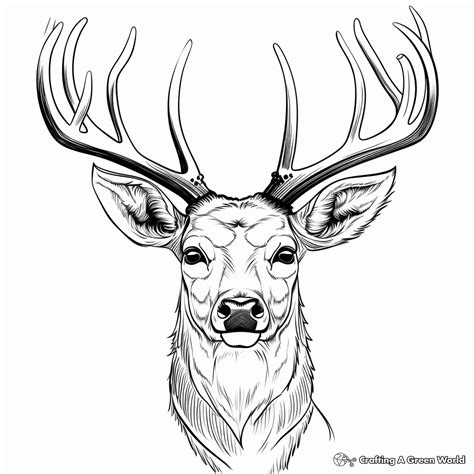 deer head coloring pages