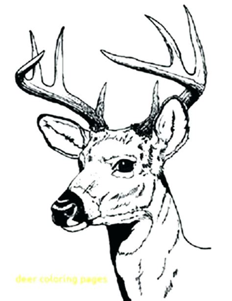 deer hunting coloring pages