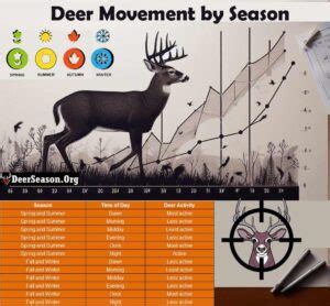Deer Movement Chart For This Week