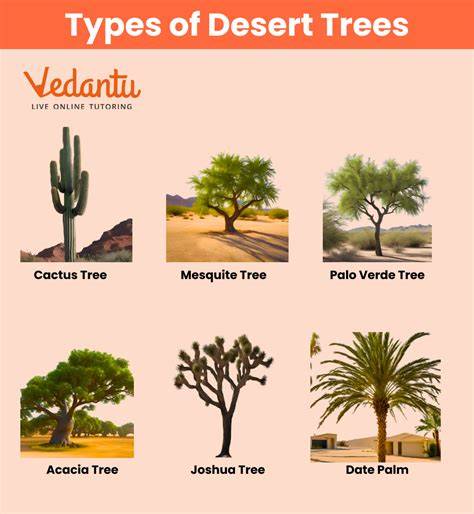 desert tree varieties