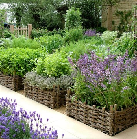 Designing the container herb garden layout