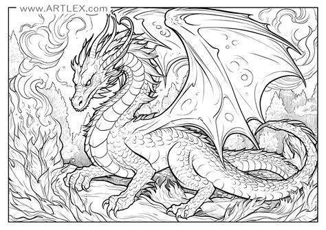 detailed dragon colouring pages