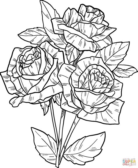 detailed rose coloring pages