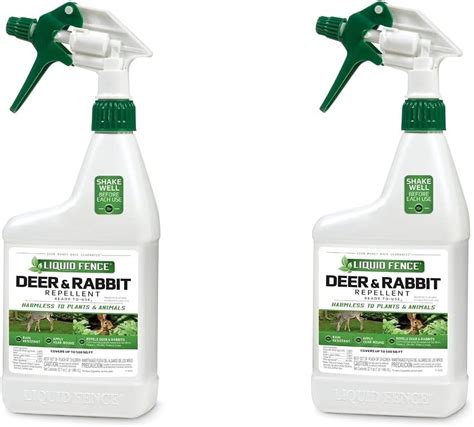 deter rabbits
