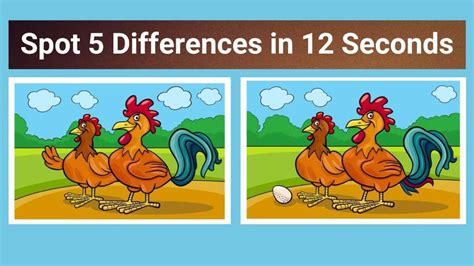 difference between 12/2 and 12/3