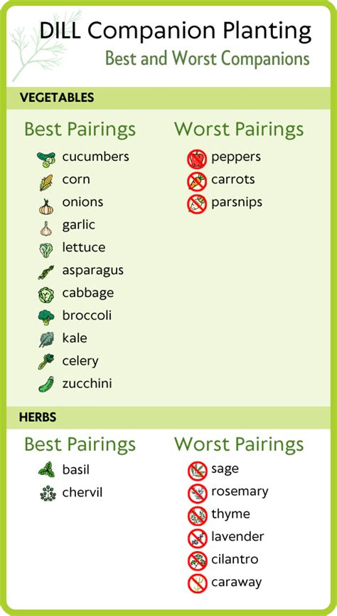 Dill and Peas Companion Planting: A Comprehensive Guide