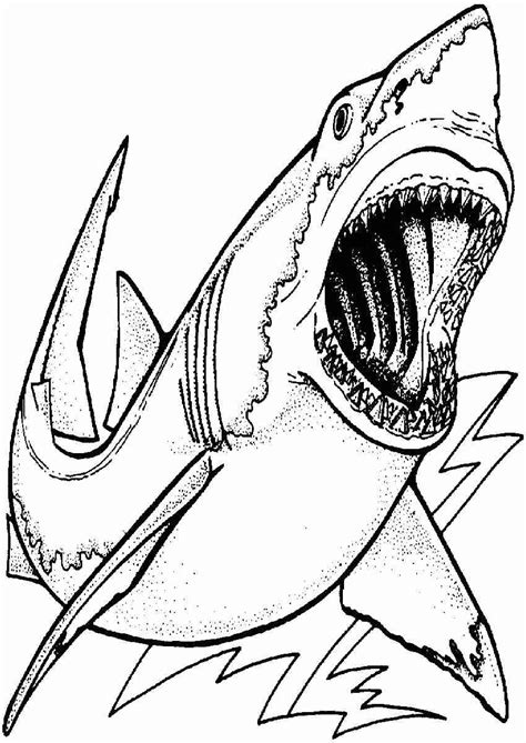 dinosaur shark coloring pages