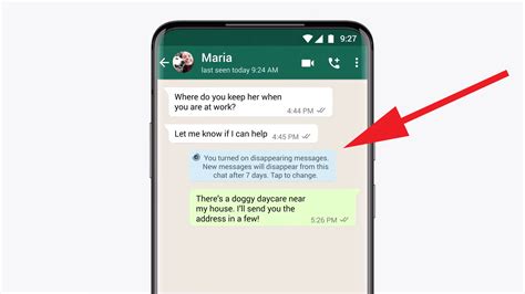 disappearing Whatsapp messages