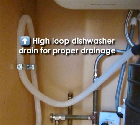 dishwasher drain hose high loop