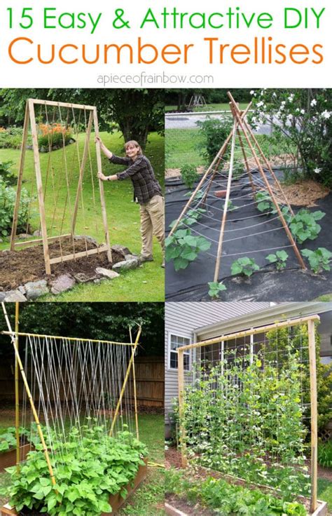 diy cucumber trellis for pots