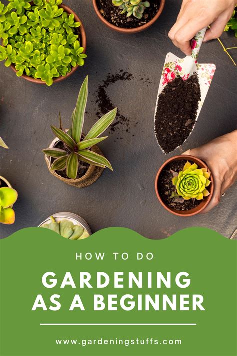 diy home gardening tips