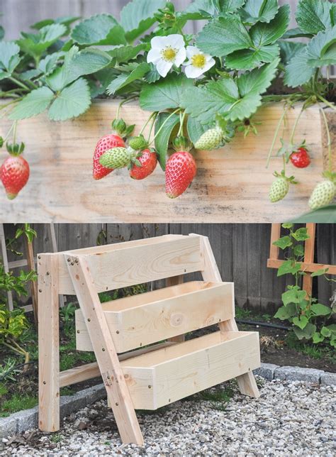 diy strawberry planter