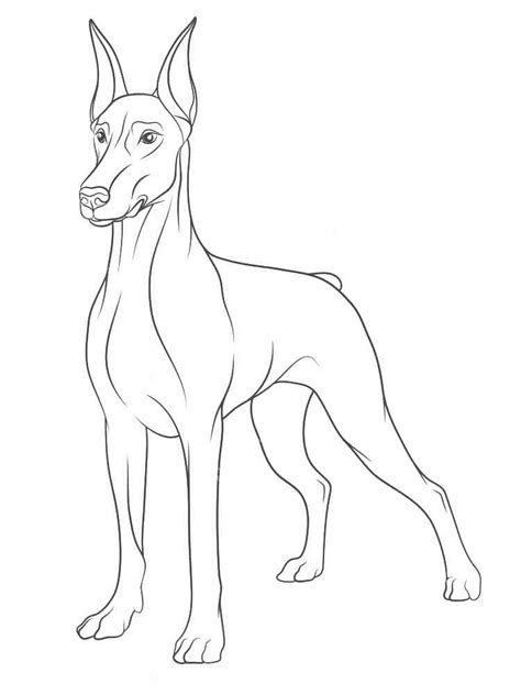 doberman coloring pages